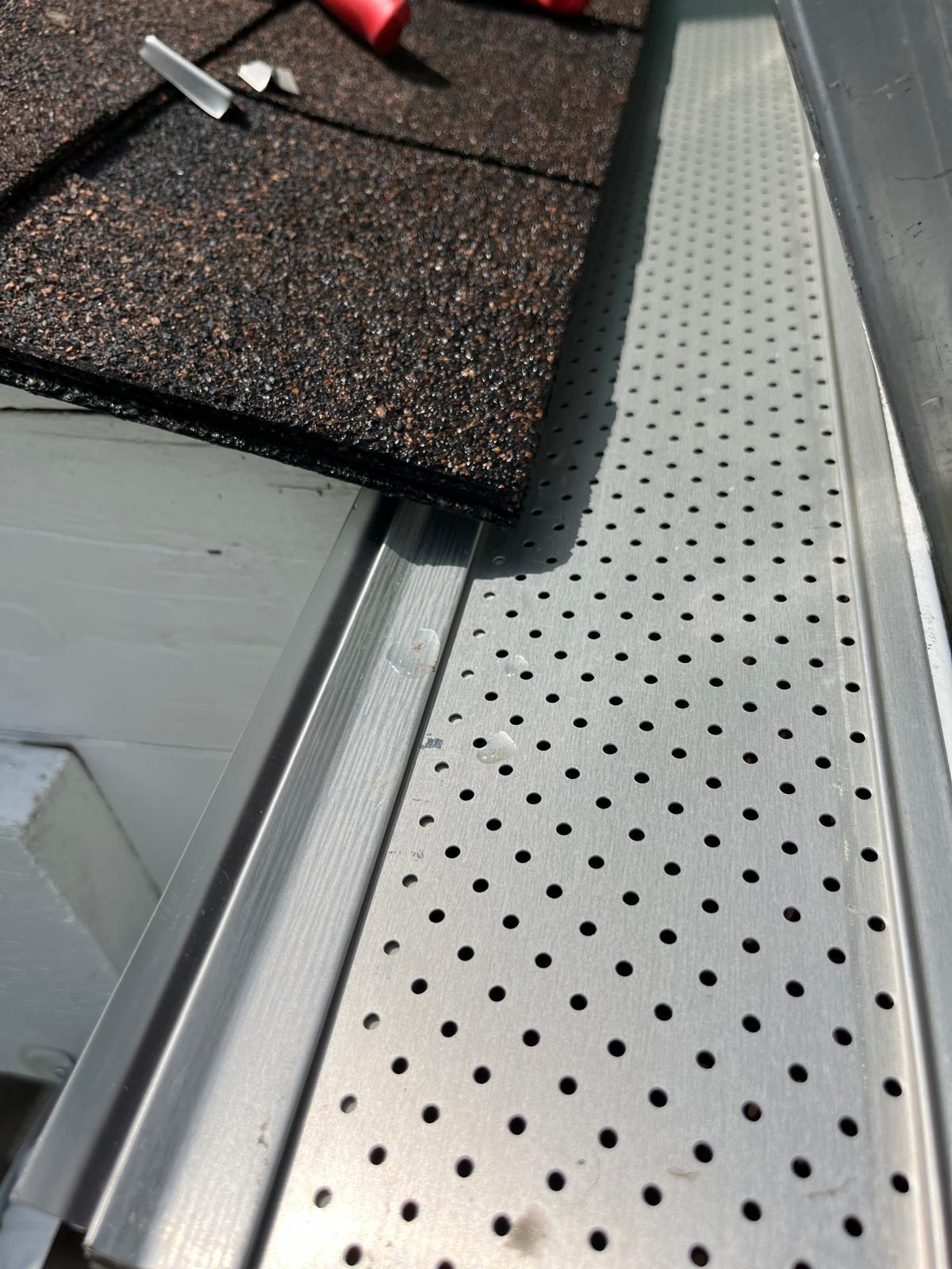 Home leaf guard